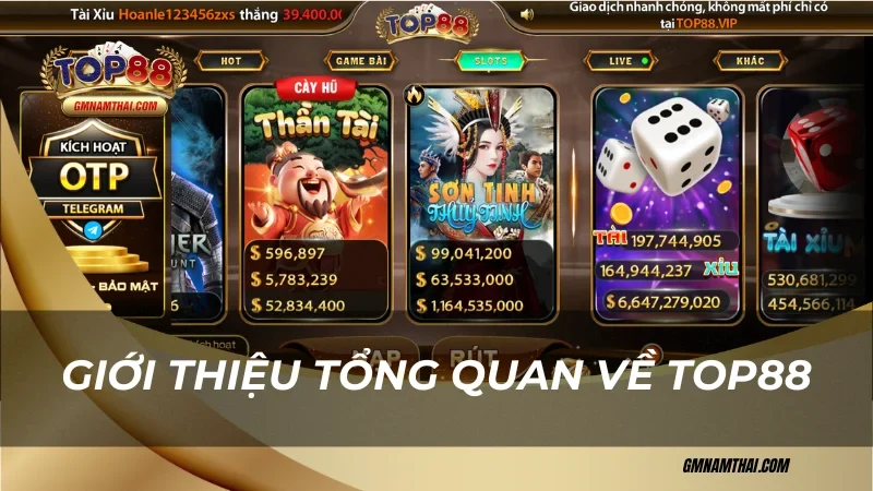Giới thiệu tổng quan cẩm nang cá cược tại Top88